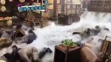电视剧中洪水场面竟是卡车拉来的，欺骗了观众这么多年