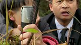 四川方言，猴子学理发