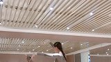 公子向北走舞蹈教学视频（二）已更新，喜欢的继续学起来吧！