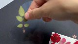 一起把春天装进瓶子里吧，做成漂亮的干花书签留住春天的美好