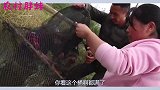 胖妹又和青梅竹马合伙做生意，收成满满一大筐，到底赚多少钱
