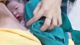 小情人的前世记忆恢复了刚刚生下来，便深情地紧盯着老爸！