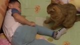你这傲娇的猫咪，小宝招你惹你了，你竟要反咬他一口！