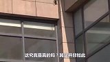 猫咪从楼一个飞身跳下，几秒钟就陨落了，监控拍到最后画面！