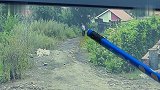 男子跟着小10岁狱友盗窃：不干要揍我 还要喊他哥