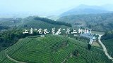 馀味回云雾，清芬试水泉——上虞“觉农•翠茗”茶上新了！