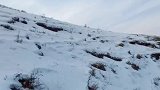 今天心情很好，来看大雪山，雪山上的风景好美