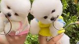 这是啥，怎么这么好吃