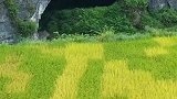 贵州深山发现一山洞，无人机飞进去发现是另外一个世界