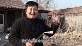 这道菜是农村的传统美食“牛蹄冻”味道不一般，不愧为冻中珍品