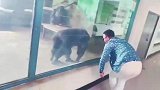 动物园沙雕探亲系列，别人来动物园是参观，你们是专程来探亲
