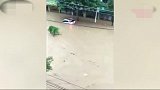贵州发布暴雨红色预警，多辆汽车被急流冲走