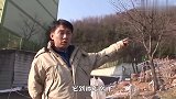 流浪狗待在垃圾堆不肯离开，凑过去一看，让人瞬间泪奔