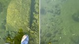 美国一男子走在透明的结冰湖面上 湖底景色尽收眼底