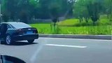 你想超过我？奥迪：门都没有