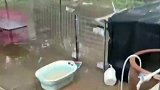 主人在院子里做的狗窝，一到雨天变成水牢