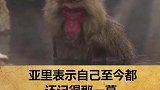 你们觉得这猴子的演技怎么样？