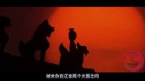 岳飞处死40个逃兵，其中一个侥幸逃脱，后竟成有名将领