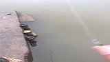 厉害了我的哥，刚抛竿就上鱼了，网友七星漂上鱼就是快