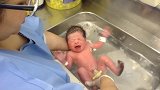 小宝宝出生后头一回洗澡，哭的歇斯底里，看得人好心疼他！