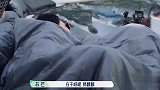 15个人一起睡觉？郭麒麟舒淇张翰却一起玩游戏