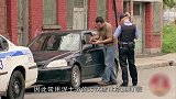 开车时莫名看到粉色大象交警你不会是喝酒酒驾了吧