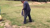 退休校长酷爱撒网，学撒网十天就能打开六米大网，不佩服不行啊