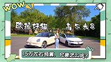 欧拉好猫vs大众高尔夫，是骡子是马拉出来溜溜