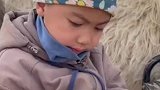 5岁萌娃喂羊做饭都能独立完成