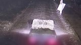 浙江温岭：母亲赌博缺钱！一波操作拉着儿子一起“下水”…