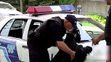 警察给狗狗搜身，居然还把狗狗给带走了，路人都看懵了！