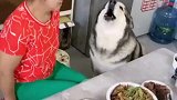 鸡腿可能会迟到，但是永远不会缺席！