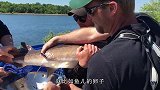 “隔空”取出鱼肚里的鱼籽，取完鲟鱼还能被放生，下次接着再取！