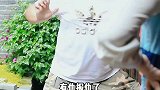丽江开客栈的人，才能看得懂才有共鸣。