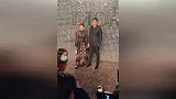 王子文吴永恩牵手走红毯 全程牵手甜煞众人