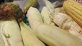 挑选玉米有诀窍！教你一招，再不怕买到老玉米，抓紧看看视频