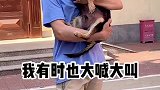 请欣赏！流浪派诗人的最新力作！——《我叫斑比》宠物成精啦