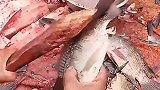 用木棍敲鱼，涨见识了