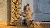 小猴子患有某种疾病，疼得他哇哇直叫，同伴都好奇他是怎么了