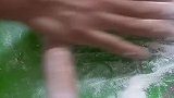 擀皮 晚上吃饺子