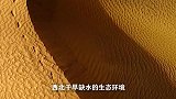 此项工程一旦完成，将彻底改变中国，我国雄鸡才可展翅高飞！