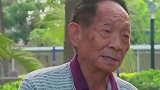袁隆平87岁还在下田 87岁袁隆平还在研究水稻：为验证再生稻长势又悄悄下田