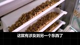 宠物冻干有什么优点和缺点呢？宠物冻干 冻干 萌宠出道计划