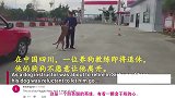 国外看中国驯养员离开嗅探犬，老外受到了感动：我流下了眼泪！