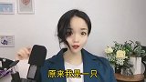 《酒醉的蝴蝶》爱情让人沉醉，你是那只醉倒在花海的蝴蝶吗？