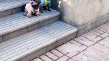 不给解穴，解决不走，太听话了