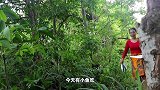 泰国美女荒山野岭做美食，看得人口水直流，难怪爱往山里跑