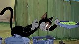 猫和老鼠：汤姆营救杰瑞，不让他被野猫吃，野猫太难了