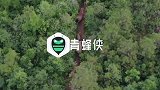 云南北移象群回家后最新画面曝光，途中诞生的两头小象长大了