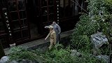 解放军带人来收于守业的房子